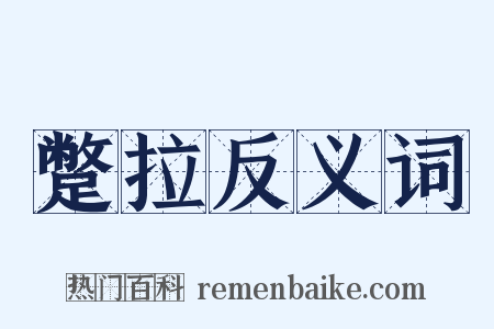 蹩拉反义词是什么意思的图片